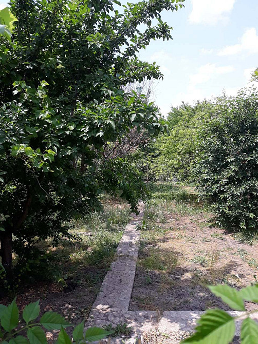 Продаж земельної ділянки 0.2 соток на ул. Иванова, 34 Булатовка - изображение 13