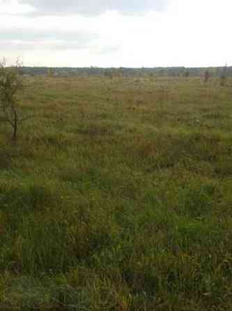 Продаж земельної ділянки 25 соток 