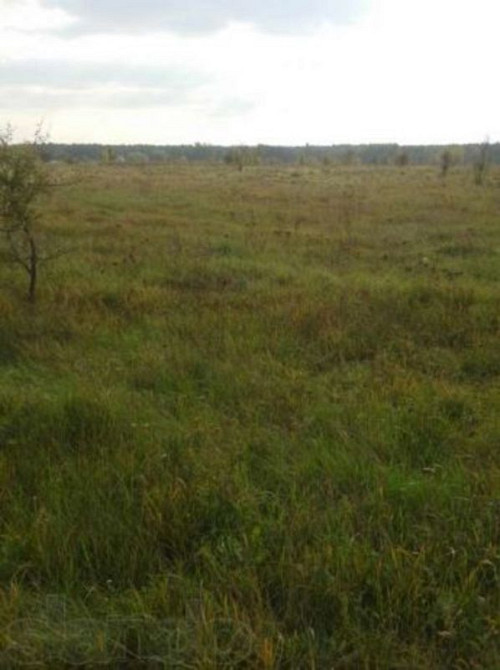 Продаж земельної ділянки 25 соток  - фото 1