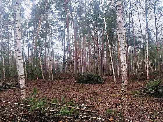 Продаж земельної ділянки 24 соток 