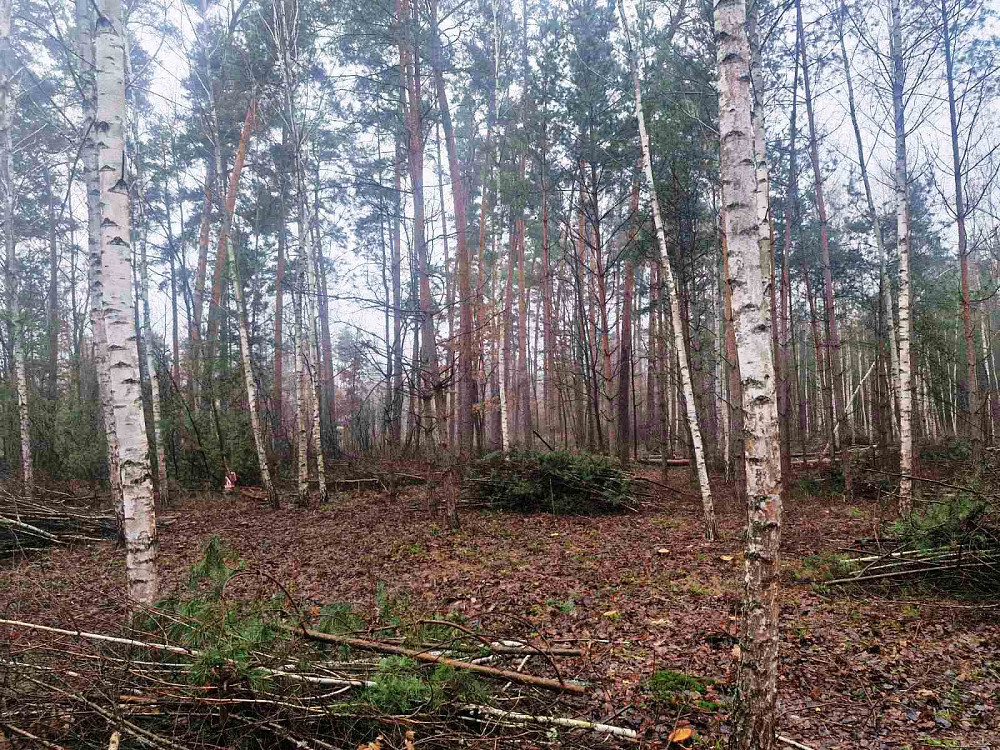 Продаж земельної ділянки 24 соток  - фото 1