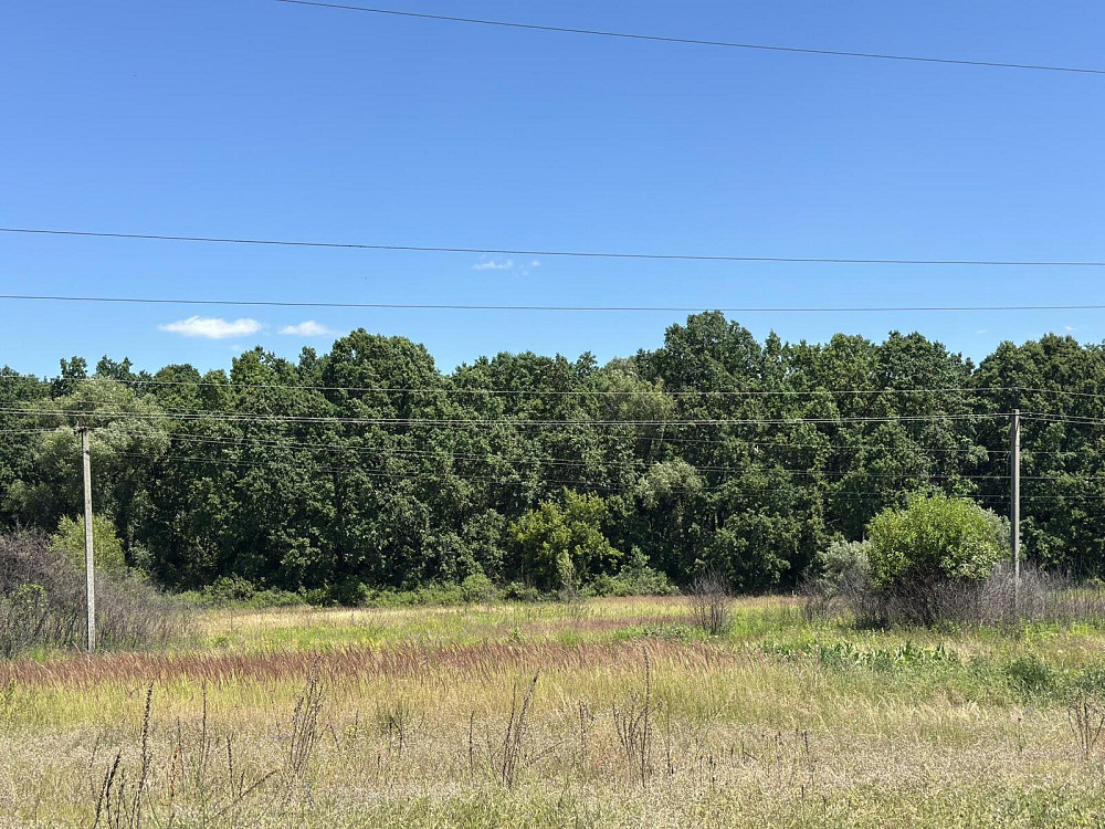 Продаж земельної ділянки 15.8 соток Vlasivka - photo 1