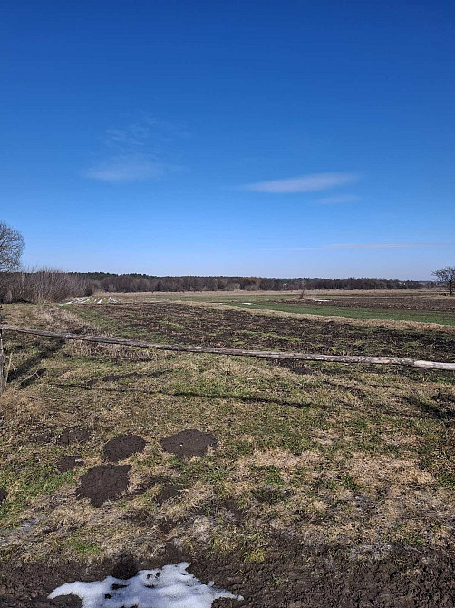 Продаж земельної ділянки 11 соток на Надрічна  - фото 7