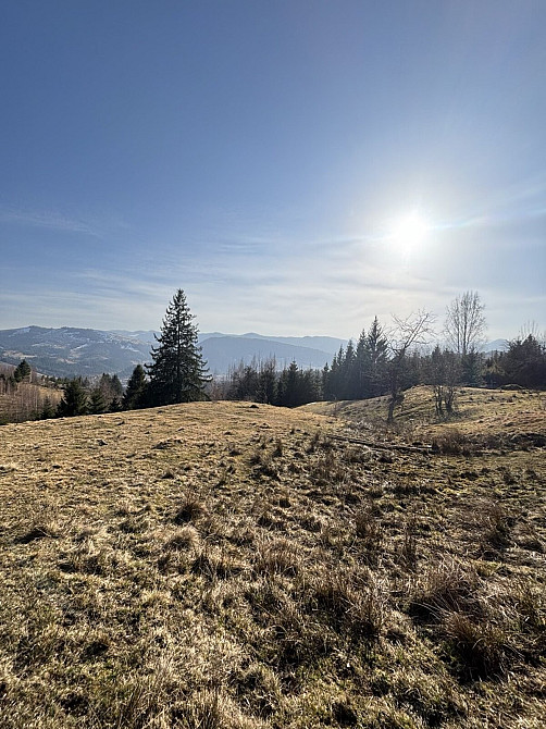 Продаж земельної ділянки 31 соток Verkhovyna - photo 1