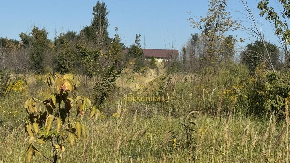 Продаж земельної ділянки 10.88 соток на Киевская ул. Вільна Тарасівка - фото 3