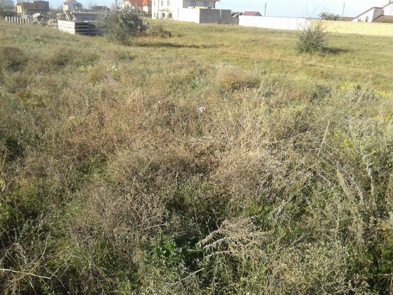 Продаж земельної ділянки 0 соток на Массив 10, 135 Фонтанка - фото 5