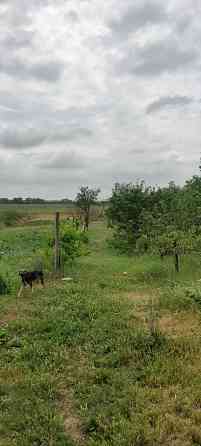 ДОМ С УЧАСТКОМ 20 сот Б. Дальник Великий Дальник