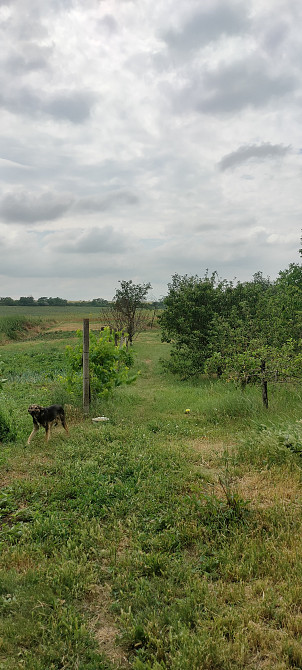 ДОМ С УЧАСТКОМ 20 сот Б. Дальник Великий Дальник - фото 3