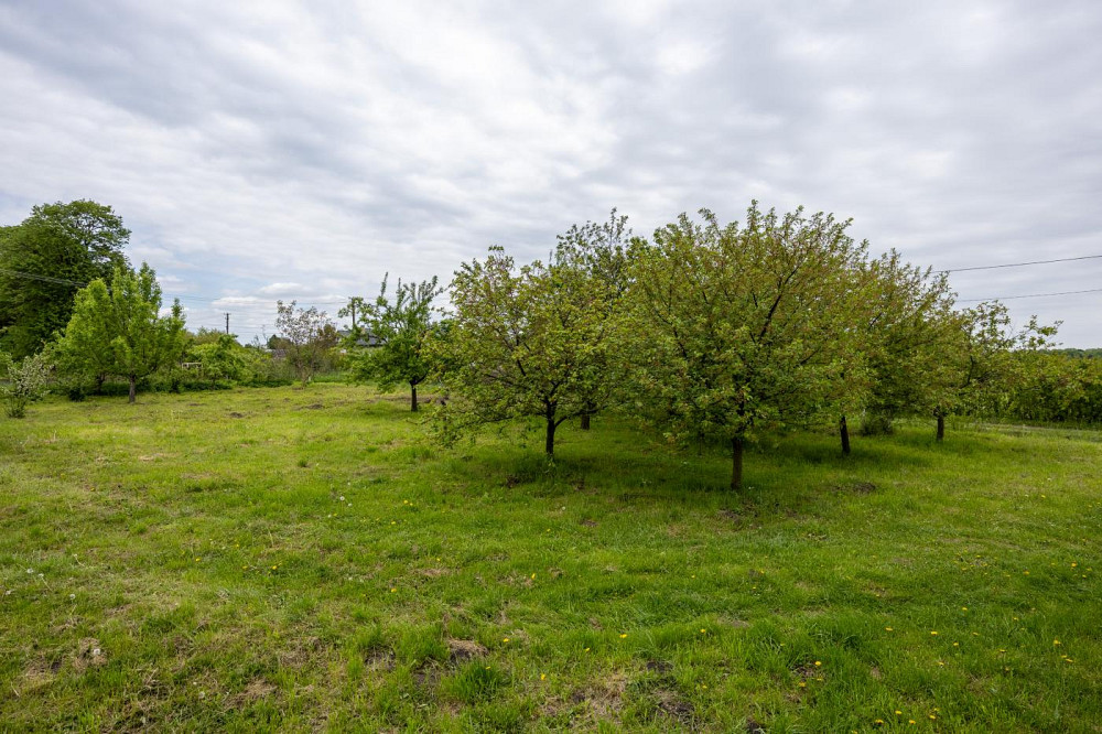 Продаж Квартира на улица Польова 6 Ременів - фото 18