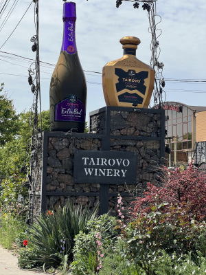 Дом в ПГТ Таирово, на 6 сотках Таїрове - фото 1