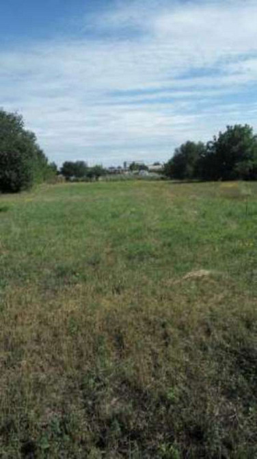 Продаж земельної ділянки 24 соток Артемівка - фото 4