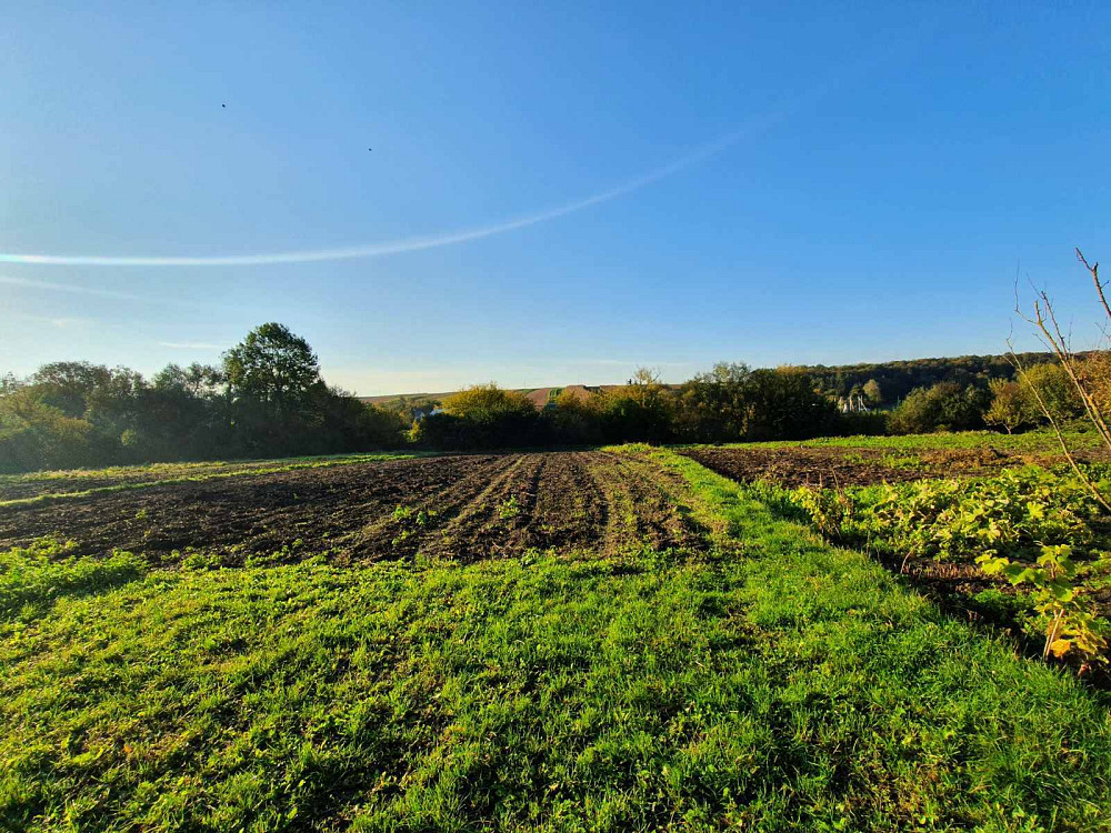 Без комісії агенції! Продаж. Окремостоячий будинок . с Городище. р-н Козівський Городище (Зборівський район) - фото 10