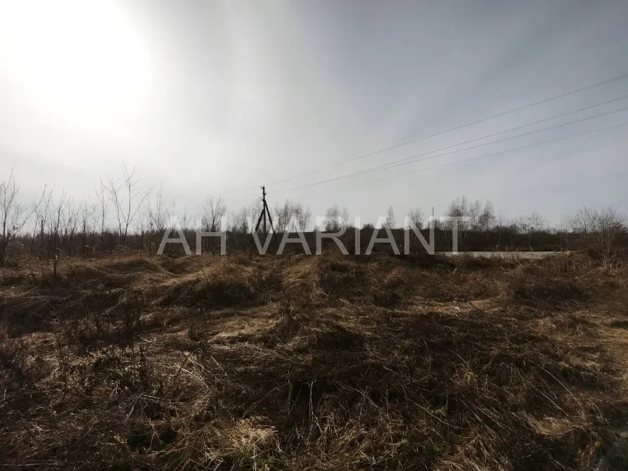 Продаж земельної ділянки Для сільськогосподарської діяльності площа 1191 сот Польова Середнє - фото 9