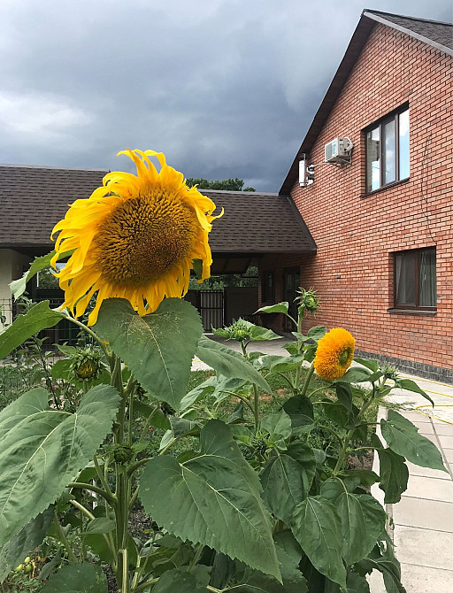 Продаж Будинок 3-кімнатний на Скоморохи Житомир - изображение 2