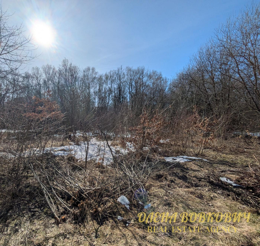 Продаж земельної ділянки 5.51 соток Pavlivka - photo 9