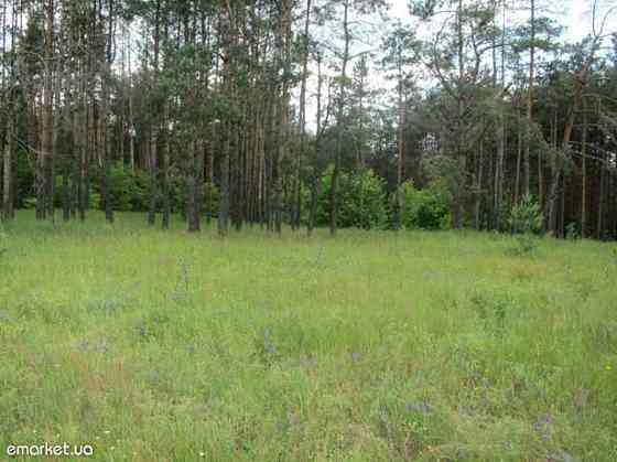 Продаж земельної ділянки 12 соток Вороньківка