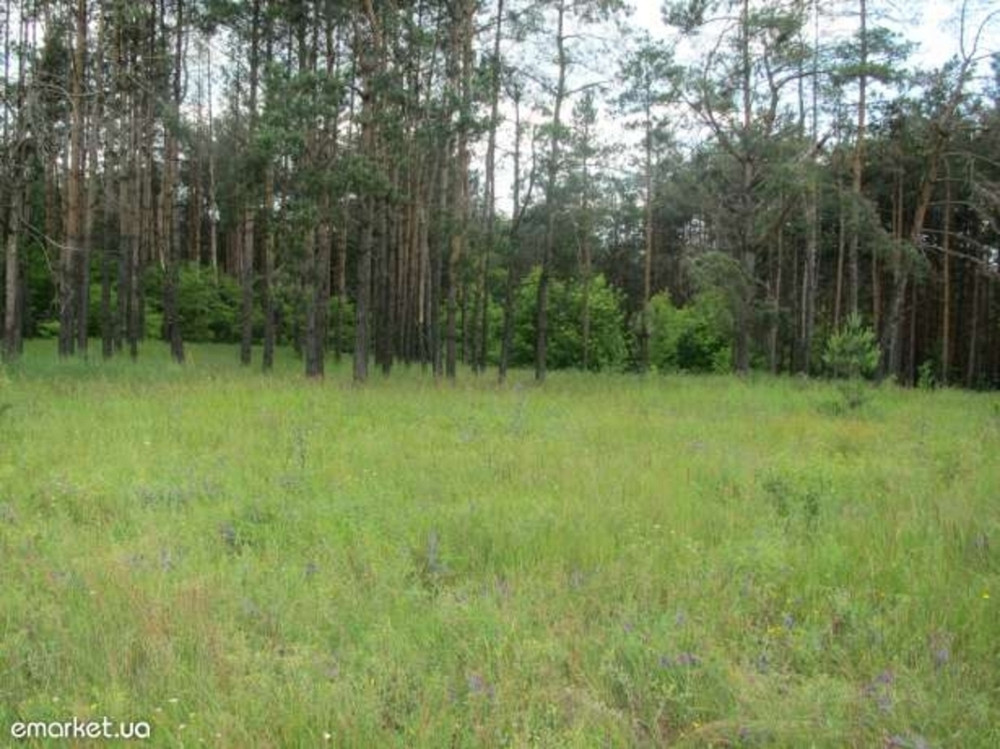 Продаж земельної ділянки 12 соток Вороньківка - фото 1