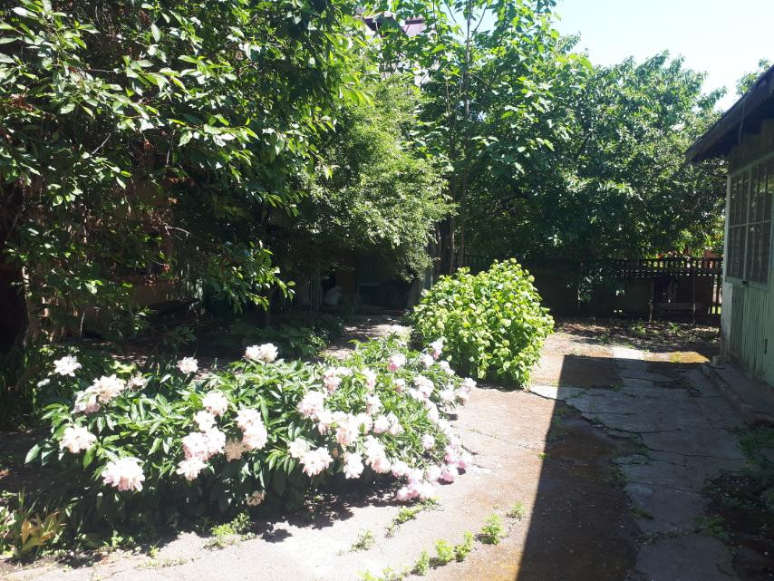 Участок 7 соток. Тихая Аркадия, Клубничный пер. Приморский район. Одеса - фото 3