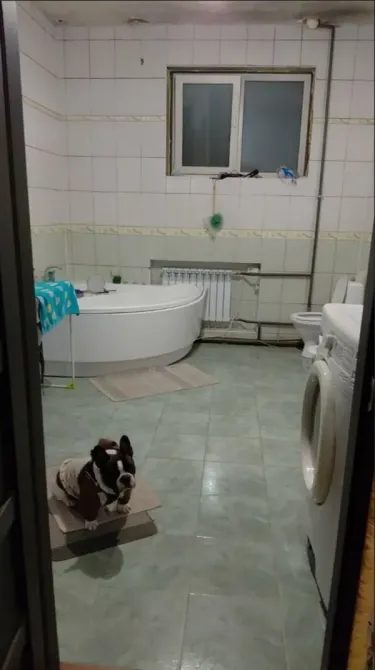 Продаж 2-поверховий Будинок  252 кв.м 7+ кімн.  Дніпро - фото 7