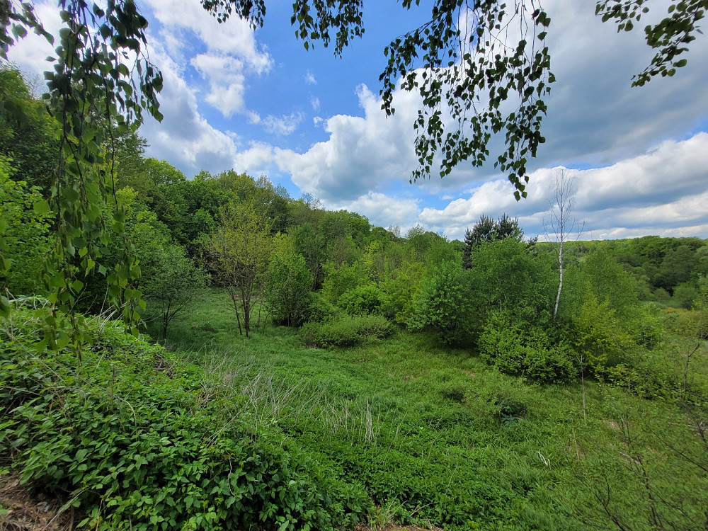 Продаж земельної ділянки 1.25 га на Франка Pavlivka - photo 15