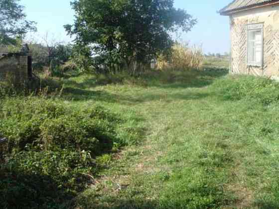 Продаж земельної ділянки 40 соток 