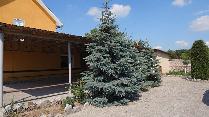 Продається готовий бізнес магазин і кафе.  - фото 16