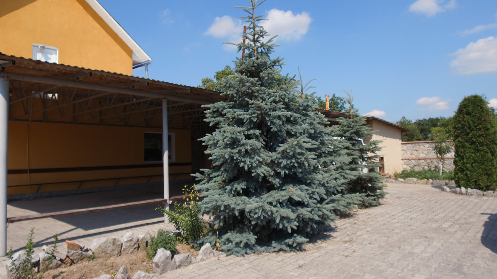 Продаж торгове приміщення на Центральна, 126 поверх - 1/2  - фото 16