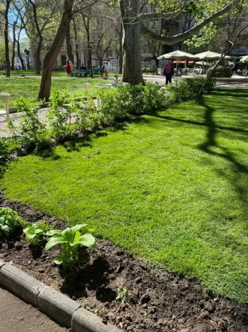 Продаж Ресторан / кафе / бар / кав’ярня площа 100 кв.м 1-й поверх на Чайковского переулок Одеса - фото 2