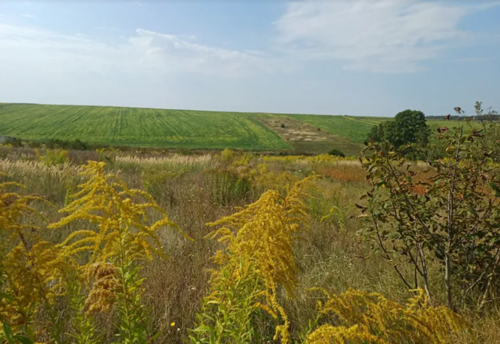 Продаж земельної ділянки 10 соток Байківці - фото 3