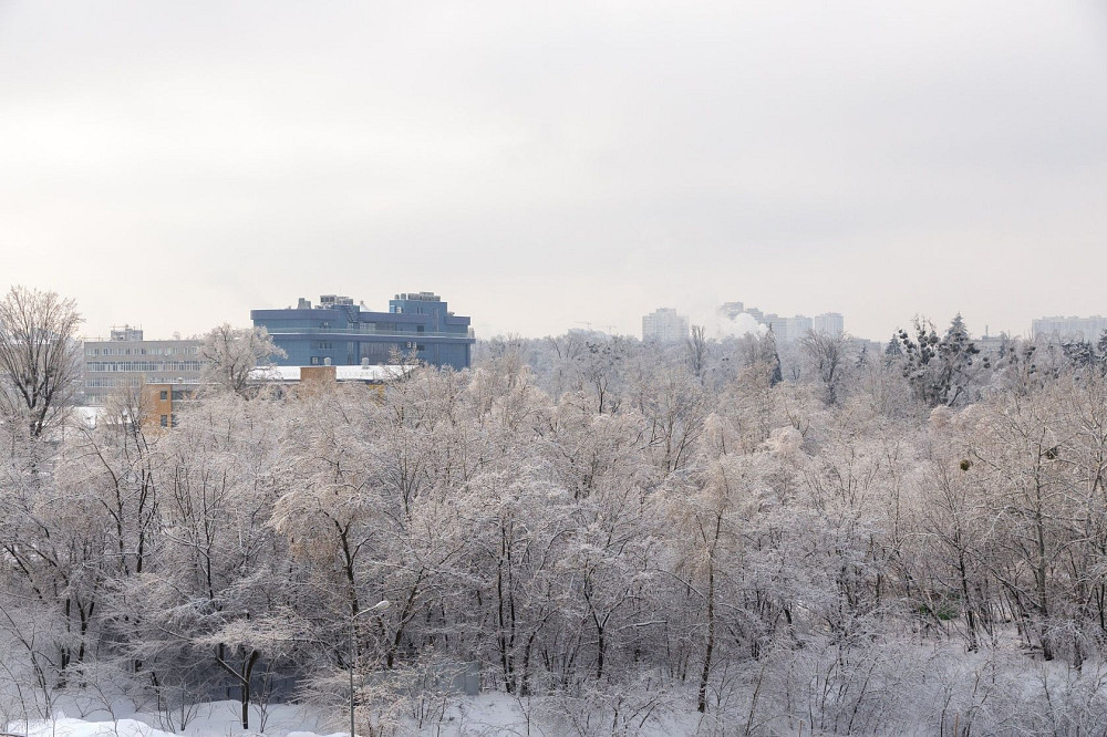 Продаж Квартира 3-кімнатна, 9/25 поверх на Герцена вул., д. 35 Киев - изображение 13