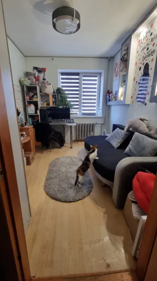 Продам 4-х комнатную квартиру с ремонтом на ул.Заболотного-Сахарова (п.Котовского) Одеса - фото 9