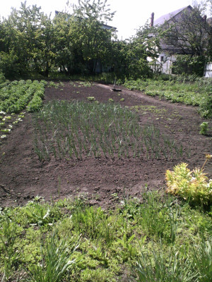 Продаж земельної ділянки 0.1 соток на ул. Гаршина, 13 Одеса - фото 1