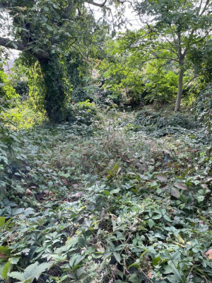 Продаж земельної ділянки 0.1 соток на ул. Макарова, 62 Odessa - photo 6