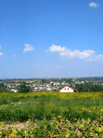 Продажа земельного участка  площадь 14 сот 4  - изображение 1