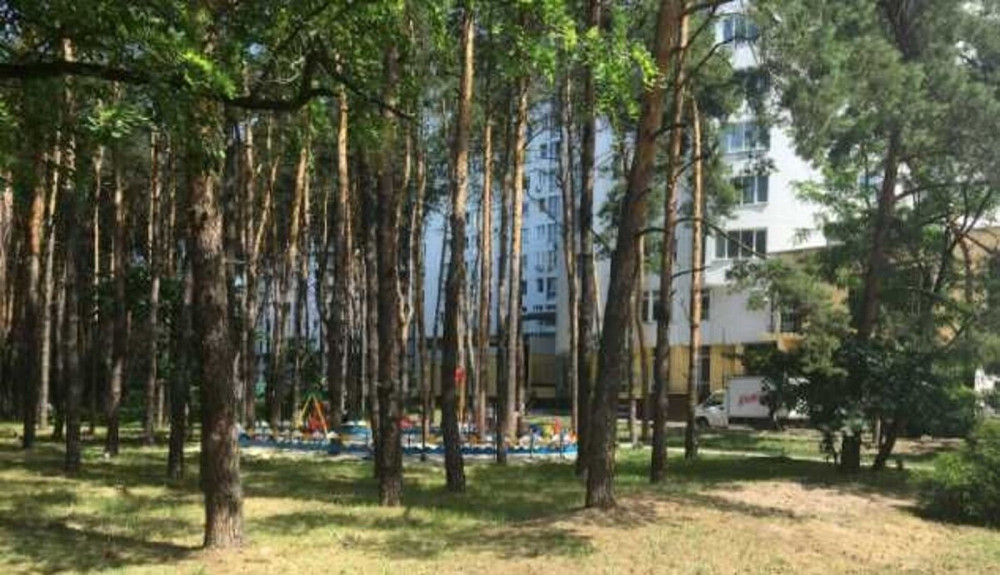 Продаж Квартира 1-кімнатна, 21/25 поверх на Світла, 3д Київ - фото 3