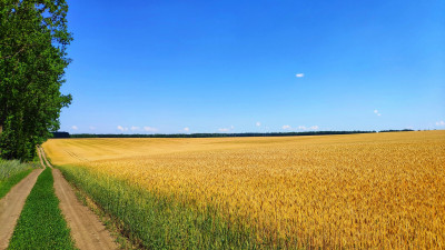 Продаж земельної ділянки 0.1 соток на ул. Массив 36, 329 Августівка - фото 1