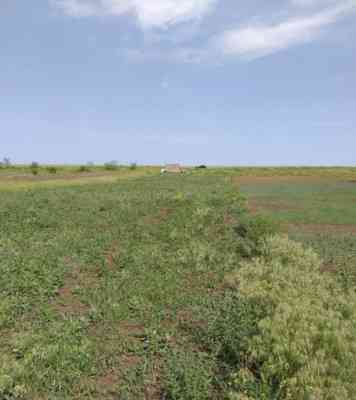 Продаж земельної ділянки 24 соток на ул. Шевченко, 257а Velykyi Dalnyk