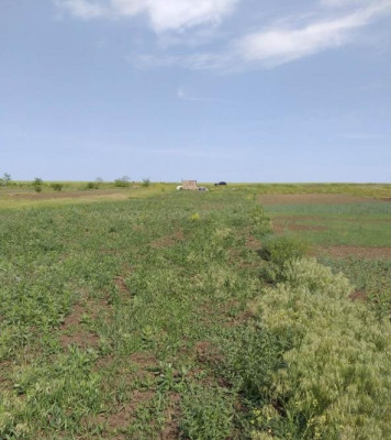 Продаж земельної ділянки 0.2 соток на ул. Шевченко, 257а Великий Дальник - фото 6