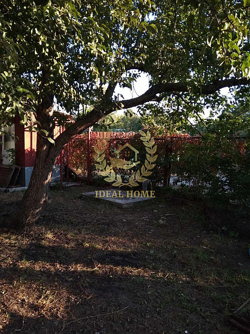 Продам дачу біля річки, с. Осещина Осещина - изображение 3