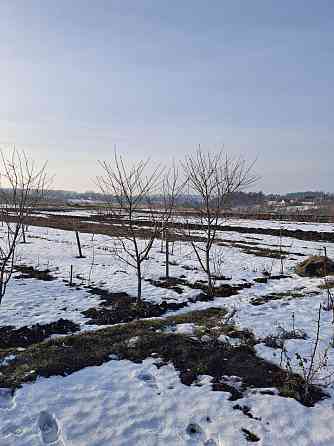 Продаж земельної ділянки 8 соток на вул. Радивилівська Почаїв