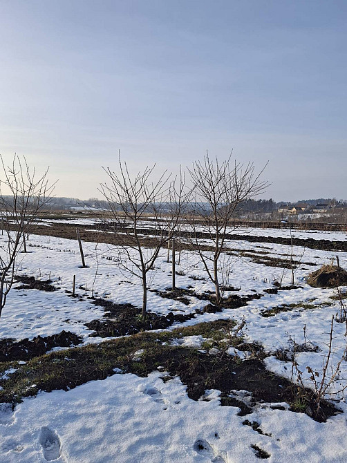 Продаж земельної ділянки 8 соток на вул. Сивулька Почаїв - фото 4