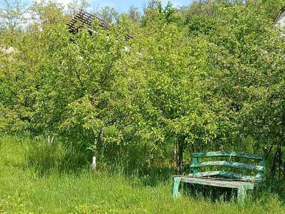 Продаж 1-поверховий Дача  45 кв.м 2 кімн. на вул. Броварська, Деньги