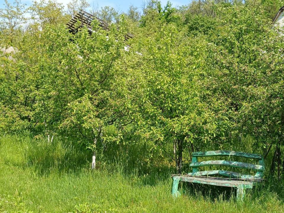 Продаж 1-поверховий Дача  45 кв.м 2 кімн. на вул. Броварська, Деньги - фото 4