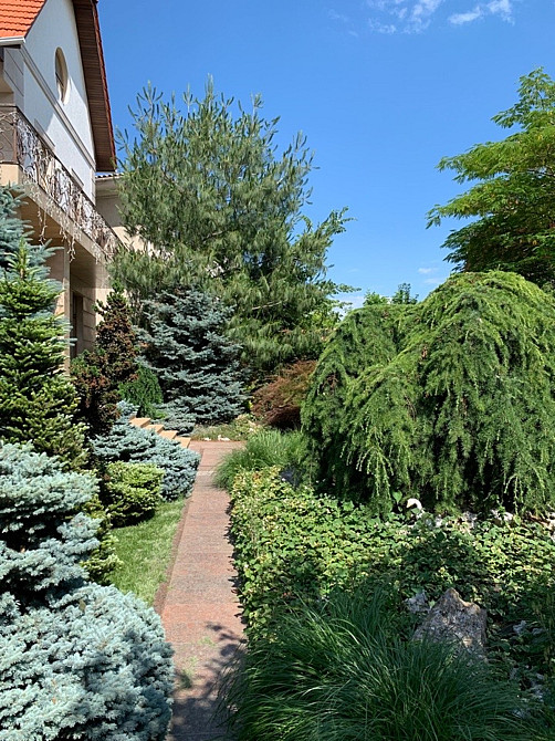 Оренда Будинок на Большой Фонтан / Фонтанская Дорога Одеса - фото 12