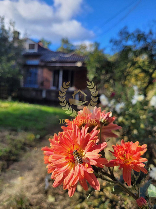 продається будинок Камянському лісництві с. Камянка Каменка (Іванківський район) - фото 11