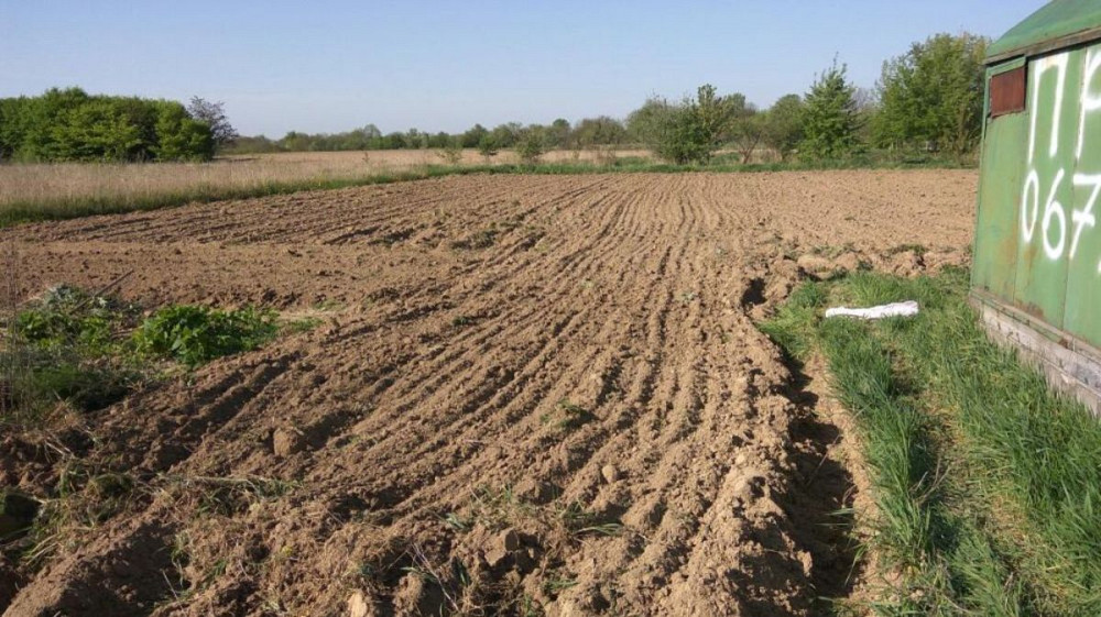 Продаж земельної ділянки 10 соток  - фото 3