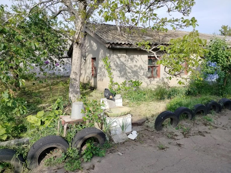 Продам участок с домом в с. Корсунцы. Корсунці - фото 1