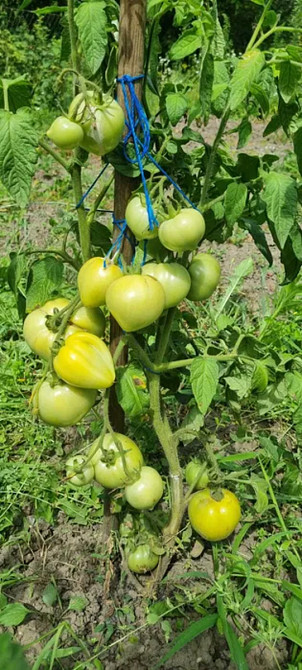 Продаж Будинок Підлужжя - фото 12