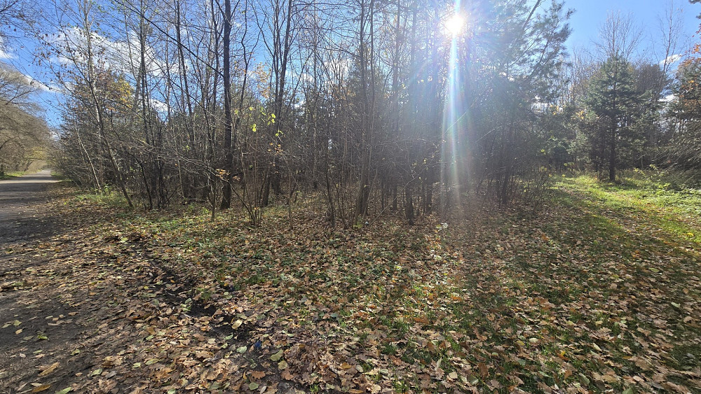 Продаж земельної ділянки 12 соток на Лісова Быстри - фото 1