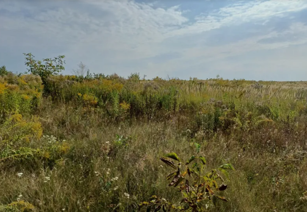 Продаж земельної ділянки 10 соток Байківці - фото 7